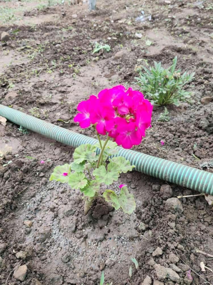 Anjani Farms Villa Nagpur Dış mekan fotoğraf