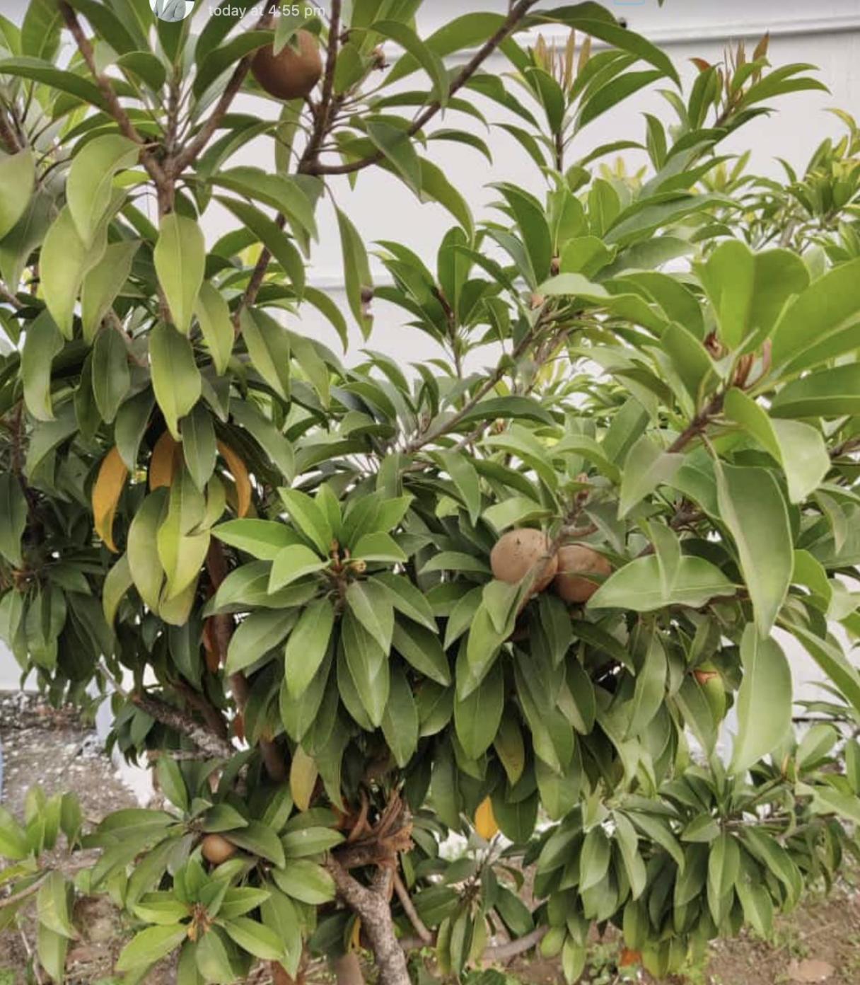 Anjani Farms Villa Nagpur Dış mekan fotoğraf