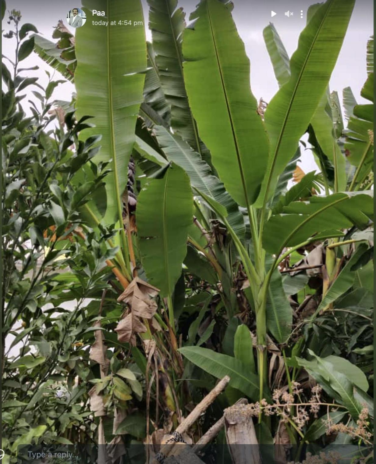 Anjani Farms Villa Nagpur Dış mekan fotoğraf