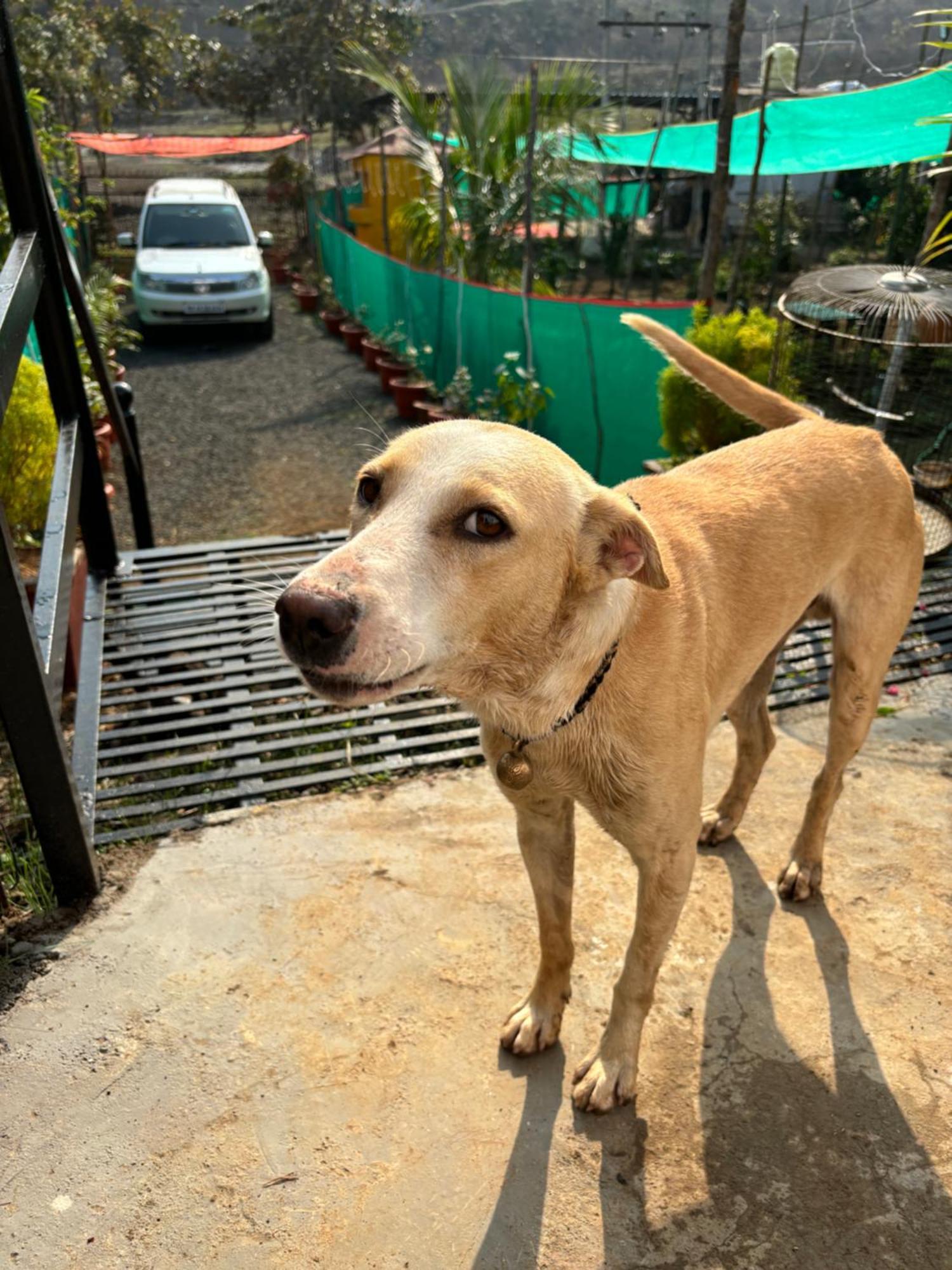 Anjani Farms Villa Nagpur Dış mekan fotoğraf