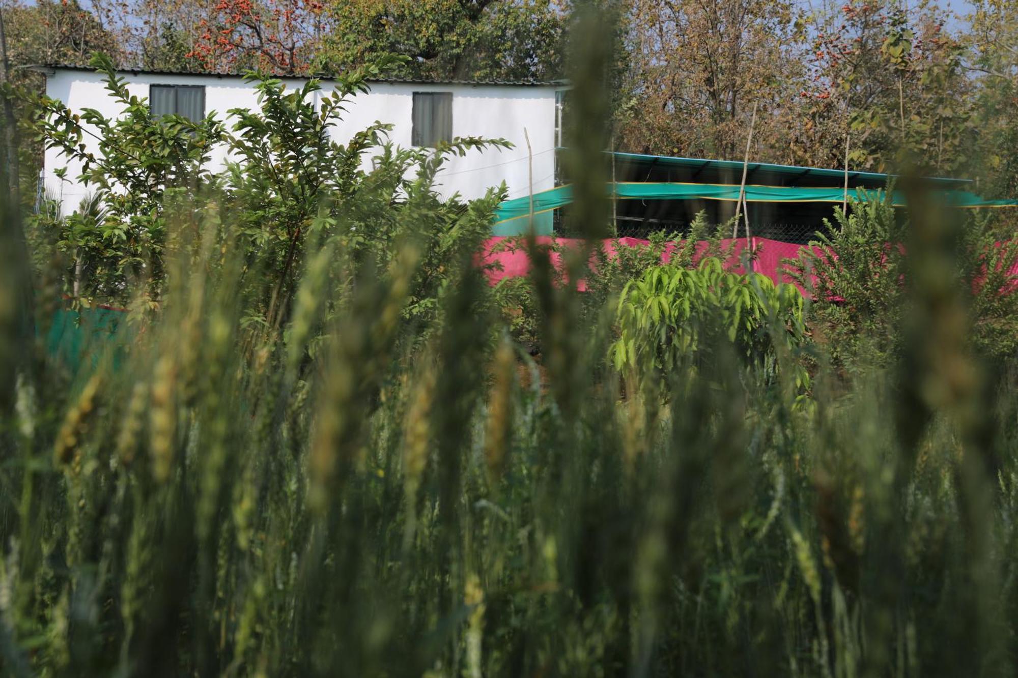 Anjani Farms Villa Nagpur Dış mekan fotoğraf