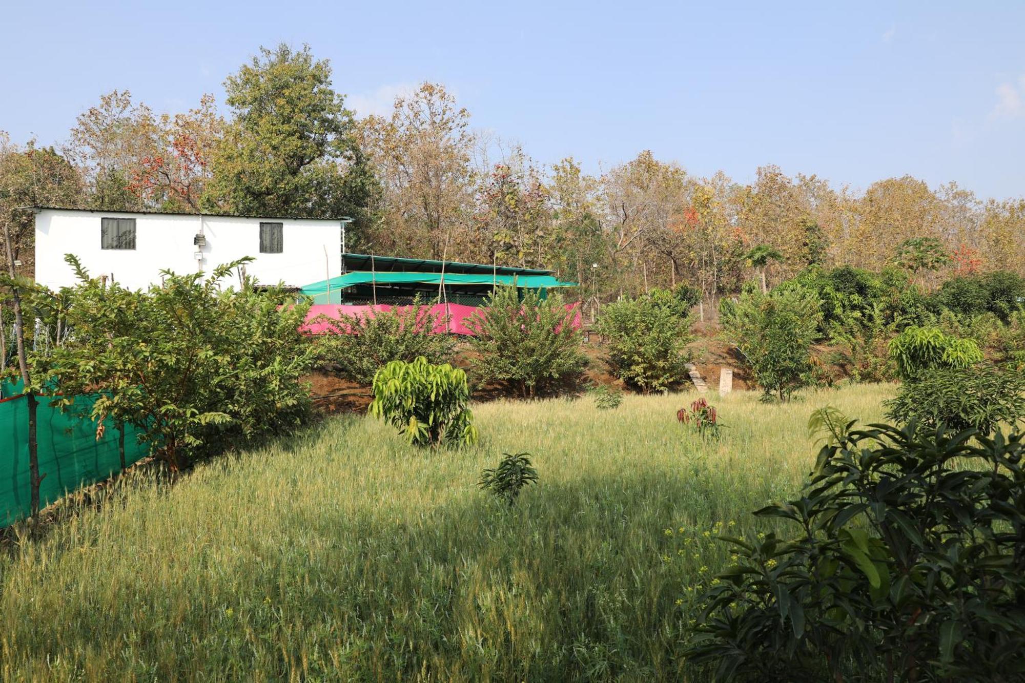 Anjani Farms Villa Nagpur Dış mekan fotoğraf